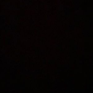 Meet your Posher, Nina